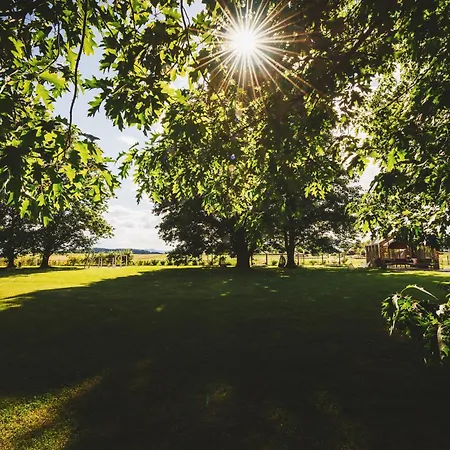 Breza Mobile House Big Berry Metlika