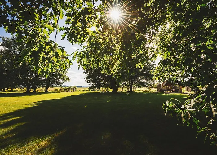 Breza Mobile House Big Berry Metlika